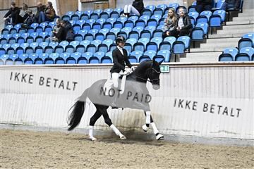 182241_kbb_01_Z093923.JPG