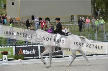 144462_bc_18__BC14857.JPG