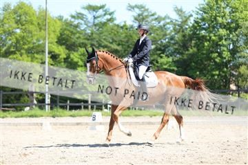 168732_mtp_01_3M5A7757.JPG