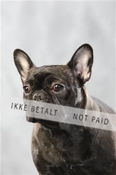 128239_le_kort_ 01_0448.JPG