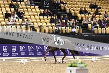 182194_kbb_03_Z090534.JPG