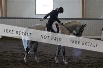139267_kl_1_8M1Q6534.JPG