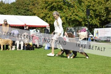182009_rin_01__62_6785.JPG