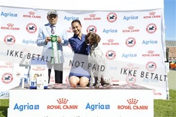 181564_ch_01__62_9643.JPG