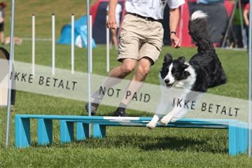 130370_tl_02_IMG_7837.JPG
