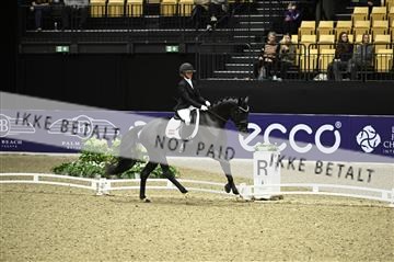 182194_kbb_01_Z096349.JPG