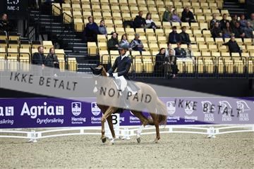 182194_mlm_01_R62_9857.JPG