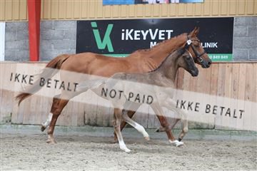 181868_mtp_03_R62_6375.JPG
