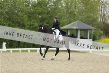 139835_sg_01_IMG_8091.JPG