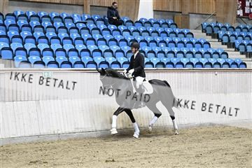 182241_kbb_01_Z094095.JPG