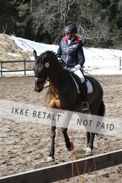 139267_kl_1_8M1Q6937.JPG