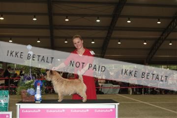 126168_se_02_IMG_0447.JPG