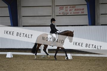 140040_abo_02__AB18894.JPG