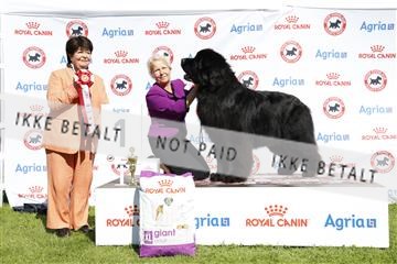 181564_ch_01__62_0123.JPG