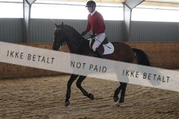 139206_kl_1_8M1Q5177.JPG