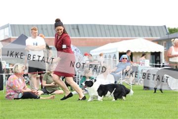 181564_rin_01_R62_8525.JPG