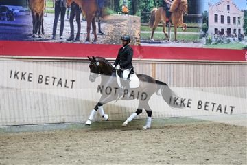 181887_mtp_05_R62_9505.JPG