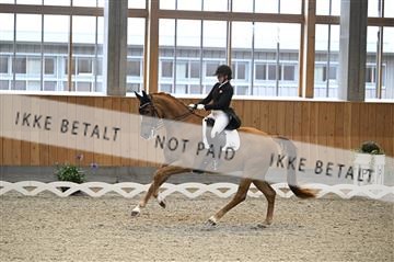 182176_kbb_01_Z094533.JPG