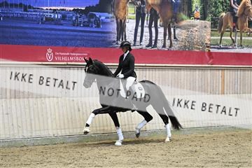 182241_kbb_01_Z094406.JPG