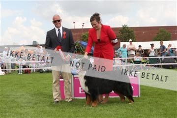 130370_le_02_IMG_8526.JPG
