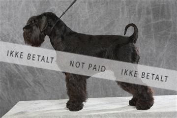 130054_le_ 03_0267.JPG