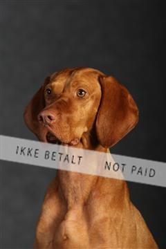 132082_le_ 01_IMG_0707.JPG