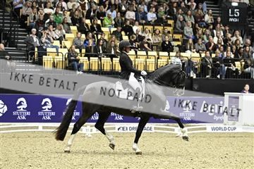 182194_kbb_03_Z092473.JPG