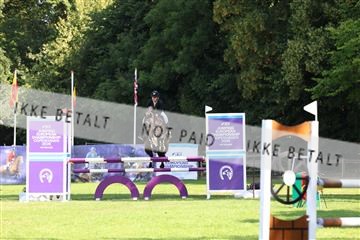 181805_mlm_02_R62_6469.JPG