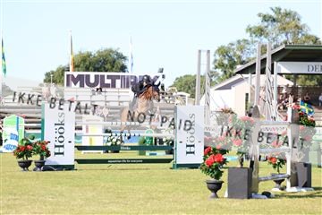181726_mlm_01_R62_8861.JPG