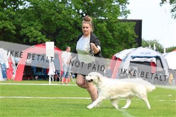 181564_rin_02_R62_1830.JPG