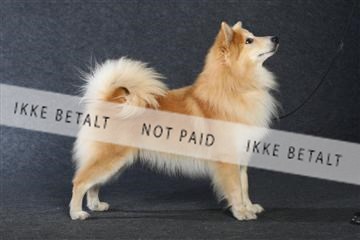 132082_le_ 01_IMG_1044.JPG