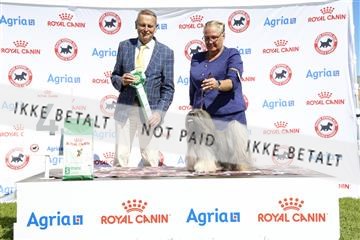 181564_ch_01__62_9883.JPG