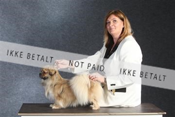 132082_le_ 01_IMG_1474.JPG