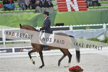144462_bc_08__BC12786.JPG