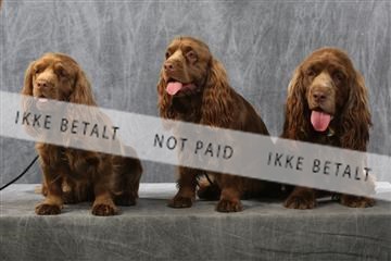 129608_le_ 01_0751.JPG