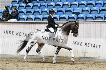 182241_kbb_01_Z093176.JPG