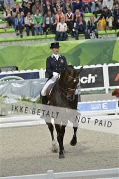 144462_bc_12__BC21801.JPG