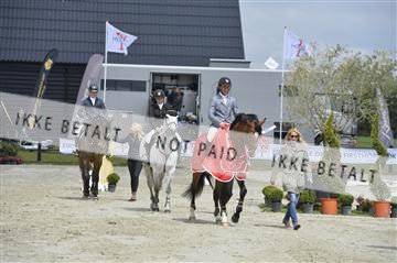 139644_abo_09__AB10577.JPG