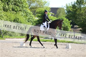168732_mtp_01_3M5A7959.JPG