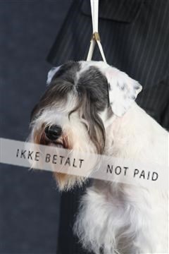 132082_le_ 01_IMG_0337.JPG