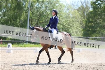168732_mtp_01_3M5A7526.JPG
