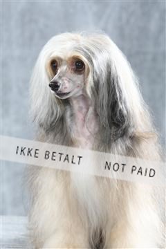 129608_le_ 01_0066.JPG