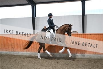 173274_kuo_01_DSC_7833.JPG