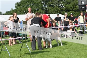130370_se_02_IMG_6646.JPG
