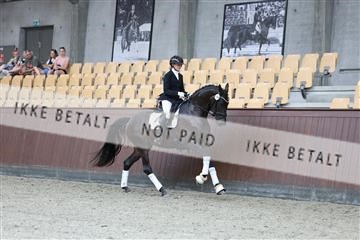 181852_mtp_03_R62_2522.JPG