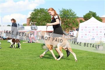 181564_rin_01_R62_0032.JPG