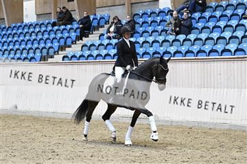 182241_kbb_01_Z093371.JPG