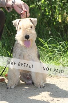 130370_se_02_IMG_5797.JPG