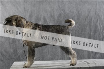 128239_le_kort_ 01_0430.JPG