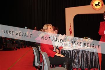 126827_tl_04_IMG_9788.JPG